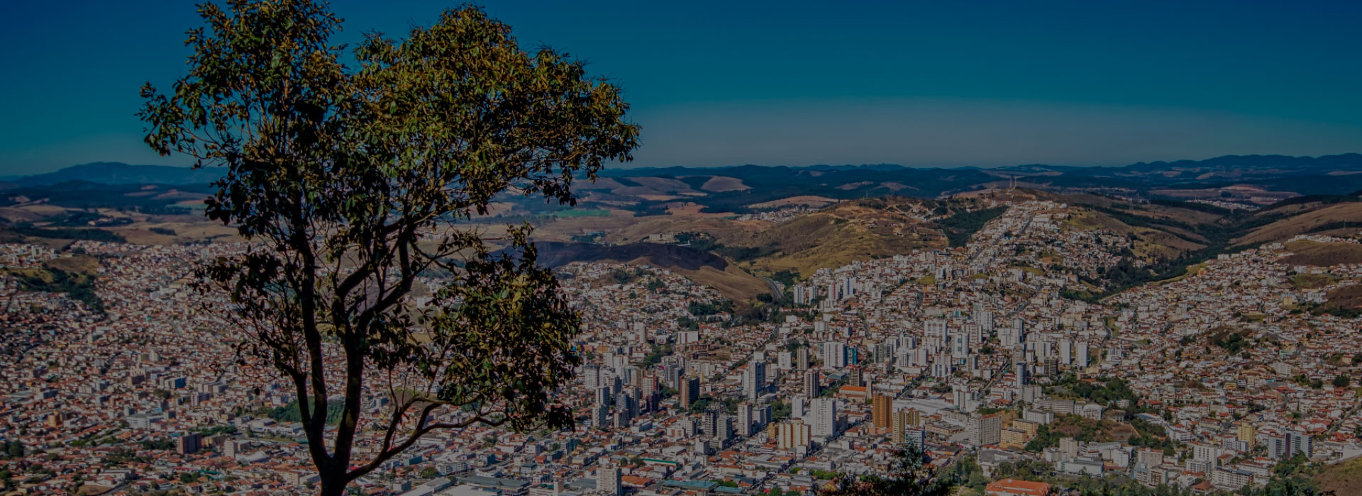 Zeladoria Especializada